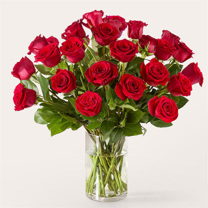 The One Red Rose Bouquet –  Mattoon Flower Shop Inc, Mattoon IL
