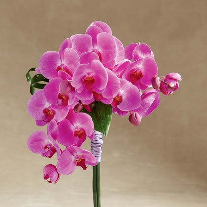 Glorious Bouquet –  Mattoon Flower Shop Inc, Mattoon IL