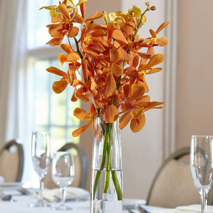 Orange Mokara Bud Vase –  Mattoon Flower Shop Inc, Mattoon IL